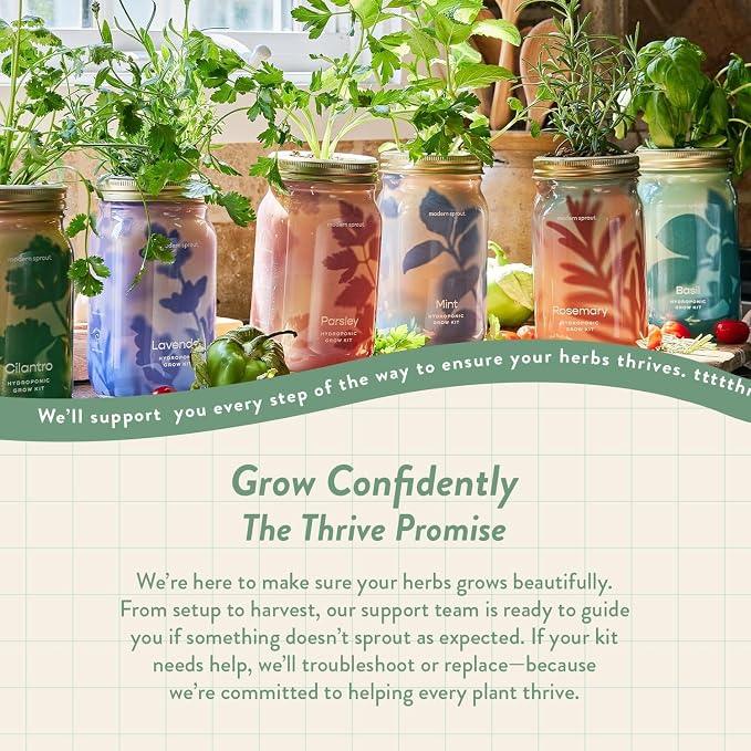Modern Sprout Garden Jar & Herb Stripper Bundle Self-Watering Herb Grow Kit w/Recyclable Mason Jar + 3-in-1 Prep Peeler & Grater Plate - Indoor Gardening - Gift for Mother's Day (Rosemary & Parsley)