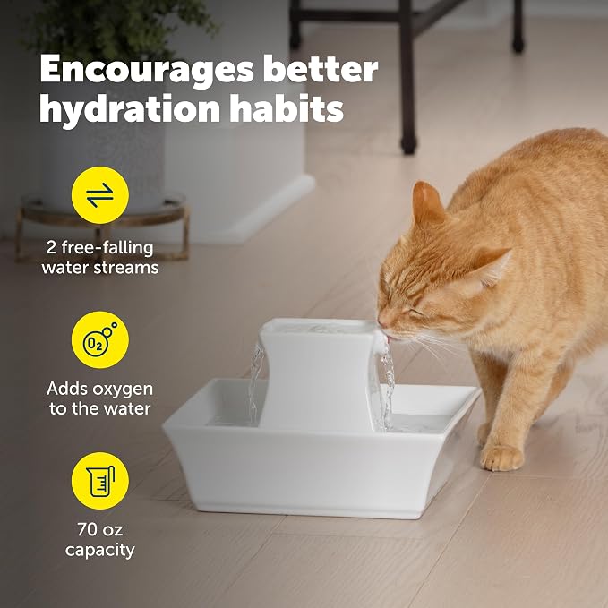 PetSafe Drinkwell Pagoda Fountain, 70 oz Ceramic, 12-Pk Filters Included | 2 Free-Falling Water Streams Encourage Hydration, Pet Water Fountain for Cats & Dogs, Includes 12 Carbon + 2 Foam Filters