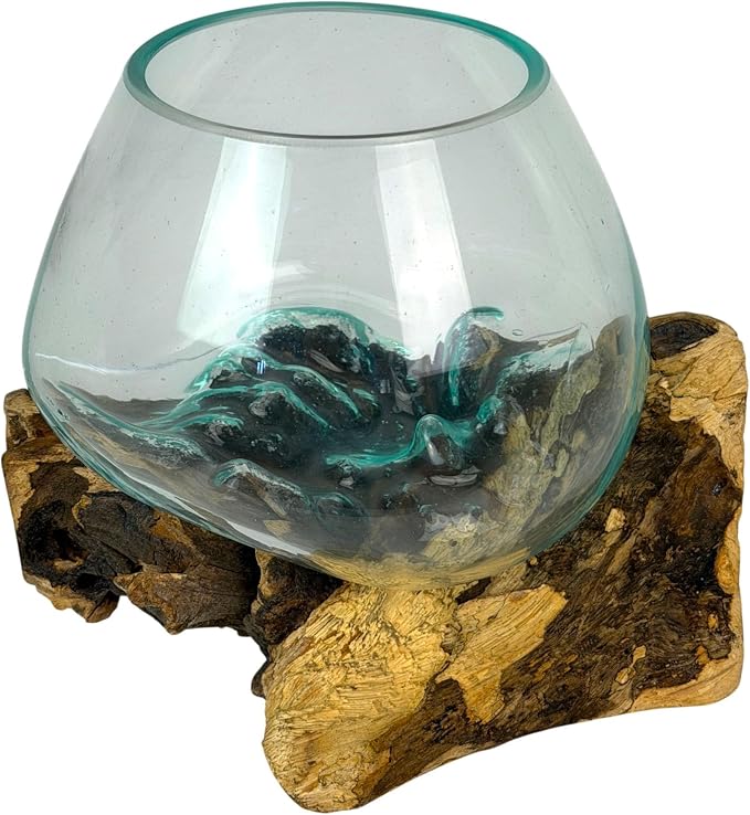 Planter Terrarium with Molten Glass Bowl on Driftwood, 7.5 Inch | Natural Base Varies by Piece, 3.5 Inch Opening, 4 Inch Center Depth, Freestanding for Shelves or Desks