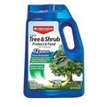 BioAdvanced 12 Month Tree and Shrub Protect and Feed, Granules, 10 lb, Insect Killer, Tree Fertilizer & Plant Food