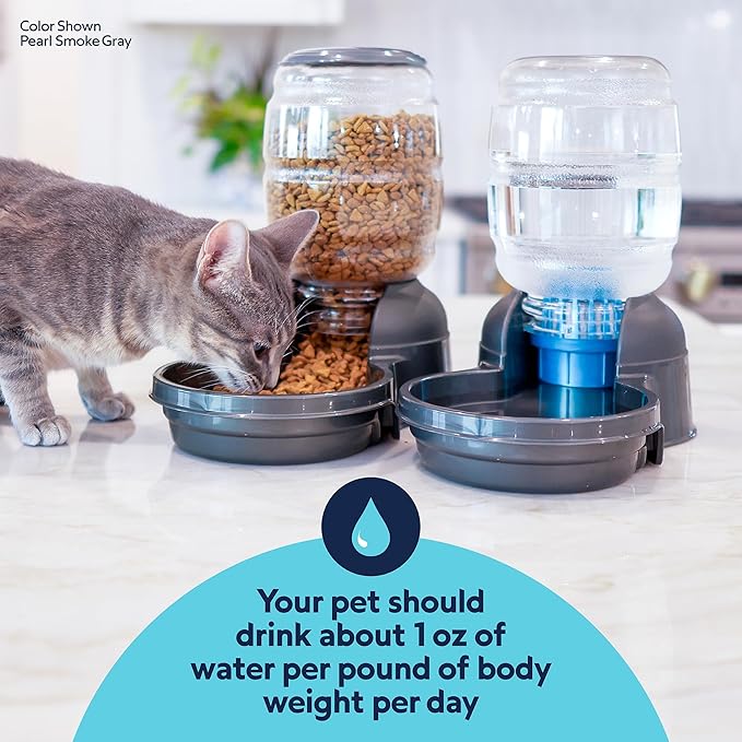 Petmate Replendish Automatic Dog Water Dispenser Gravity Pet Waterer with Microban Protection Base, 100% BPA Free - 1 Gallon, Wide Mouth Bowl, with 2 Extra Filters