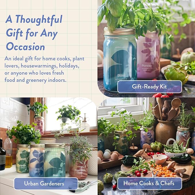 Modern Sprout Mason Garden Jar + Replant Kit - Self-Watering Hydroponics Growing System Kit w/Organic Herb Seeds - Jar Planter for Indoor Herb Garden - Seed Starter - Gift for Mother's Day - Lavender