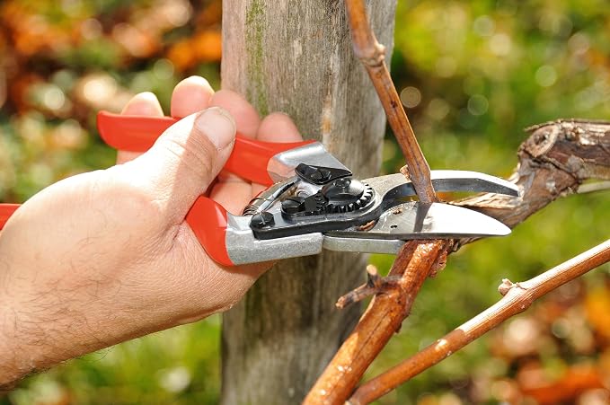 Felco F8 Pruning Shears – 8.3" Swiss-Made Garden Clippers with 1" Cutting Capacity for Ergonomic Comfort | Hand Pruners for Gardening | Garden Tool Cutter with Precision Bypass Blade, Aluminum Handles