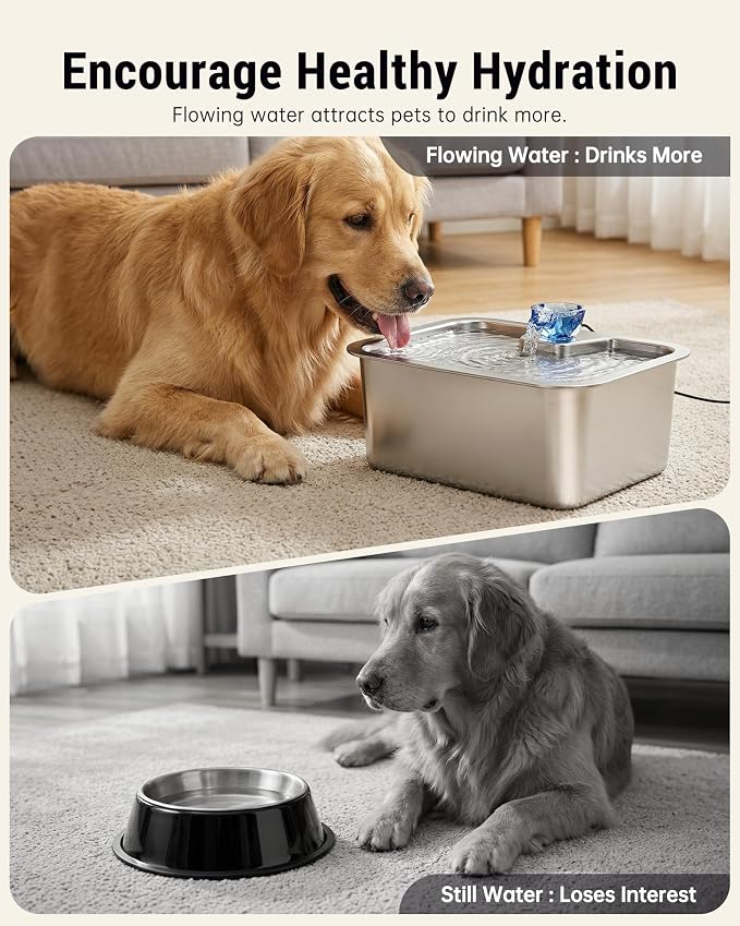 PETNF 3-Gallon 304 Stainless Steel Dog Water Fountain for Large Dogs, Extra Wide Drinking Area, Automatic Water Bowl Dispenser for Large Dogs & Multi-Pet Homes, 7-Stage Filtration System, Quiet Pump