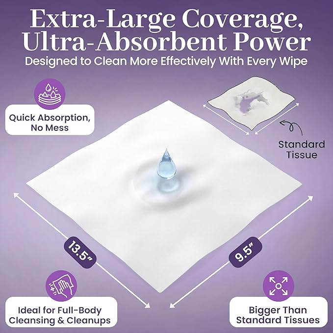 Disposable Dry Wipes, 500 Count - Extra Large Washcloths for Adults, Unscented Cleansing Cloths for Incontinence, Baby Care, Makeup Removal, Sensitive Skin - 9.5" x 13.5" Hospital Grade - ProHeal