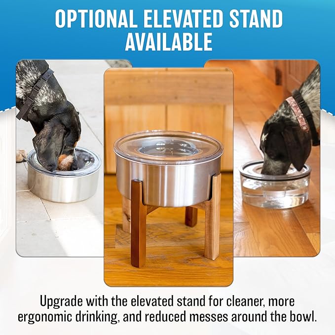 Stainless Steel Dripless Water Bowl with Tritan Plastic Lid – Holds 1 Gal, Reduces Spills & Trails Up to 85%+, Water Bowl for Small Breed Dogs (0-20 lbs), The Original Slobber Stopper