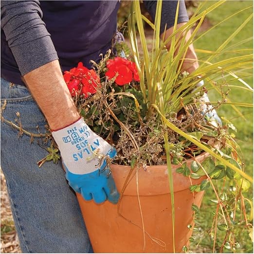 SHOWA Atlas 305 Natural Rubber Latex 3/4 Coated General Purpose Work Gloves with Poly/Cotton Liner, 10-Gauge, Medium (12 Pair)