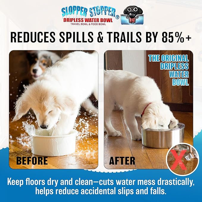Stainless Steel Dripless Water Bowl with Tritan Plastic Lid – Holds 1 Gal, Reduces Spills & Trails Up to 85%+, Water Bowl for Small Breed Dogs (0-20 lbs), The Original Slobber Stopper