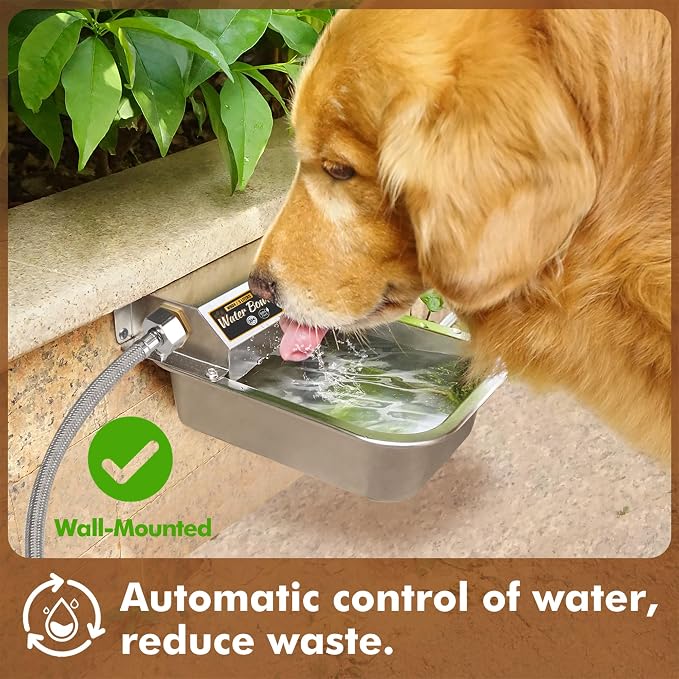 PETTEN 3L Automatic Dog Water Bowl Dispenser, Stainless Steel Self-Filling Water Bowl for Large Dogs & Outdoor Auto-Filling Fresh Water with 3/4" GHT Hose Connection