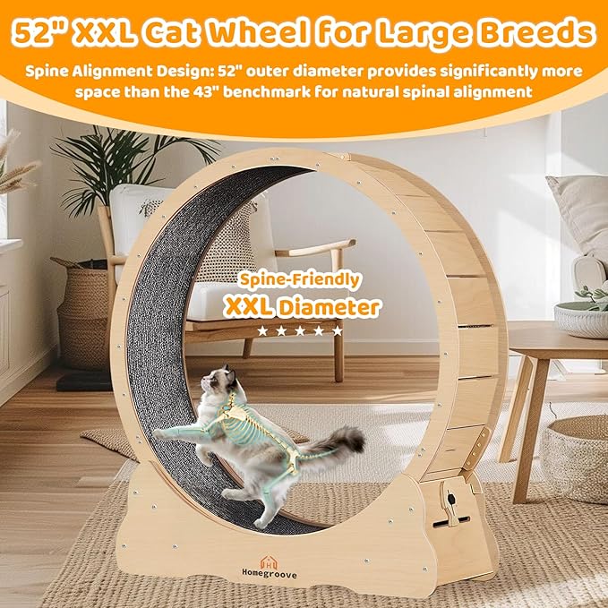Homegroove XXL Cat Exercise Wheel, 52"/132cm Large Cat Wheel, Solid Wood Cat Treadmill with Integrated Safety Lock, Spine Alignment Design for Large Indoor (XXL, Natural Wood)