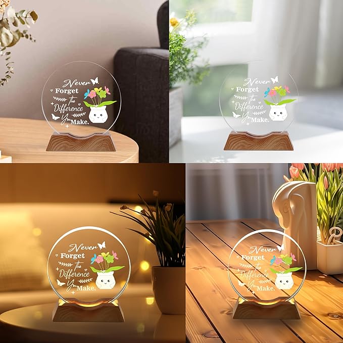 ZHSHWAT Crystal Night Light Plaque with Inspirational Quote- LED Illuminated Decorative Award for Encouragement, Appreciation, Ideal Gift for Coworkers, Friends, Teachers