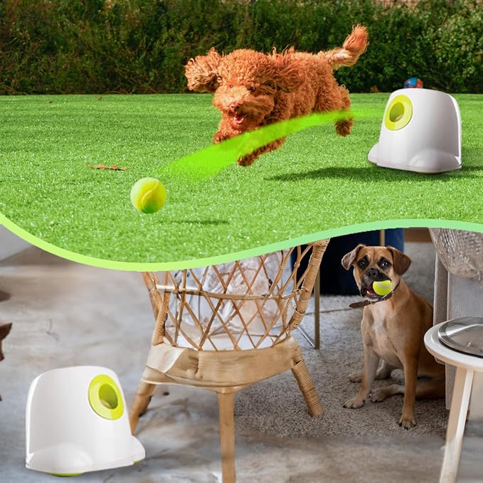 ALL FOR PAWS Automatic Dog Ball Launcher, Interactive Fetch Toy for Small to Medium Dogs, Pet Thrower Machine for Indoor & Outdoor Play, 3 Pcs 2-Inch Balls Included