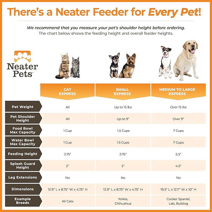 Neater Feeder Express Mess Proof Dog Bowls Elevated for Small Breeds Under 15 Lb, Made in USA, No Spill Raised Dog Food Bowl Stand, Stainless Steel Food and Water Bowl Set, Feeding Station, Grey