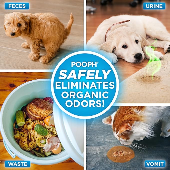 Pooph Pet Odor Eliminator, 16oz Spray - Eliminates Odors at the Molecular Level, Dogs, Cats, Freshener, Eliminator, Urine, Poop, Pee, Deodorizer, Fresh, Clean, Furniture, Potty