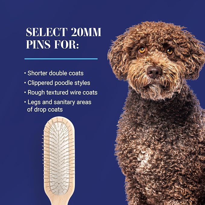 Chris Christensen 20 mm Oblong Pin Dog Brush, Original Series, Groom Like a Professional, Stainless Steel Pins, Lightweight Beech Wood Body, Ground and Polished Tips