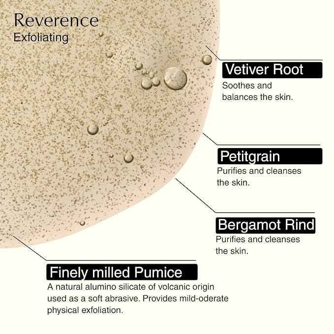 Aesop Resurrection & Reverence Aromatique Hand Wash Set – Nourishing Hand Wash & Gentle Exfoliating Hand Soap Duo | Botanical Cleansers Made with Hydrating Essential Oil Blend | 16.9 oz Each (2 Pack)