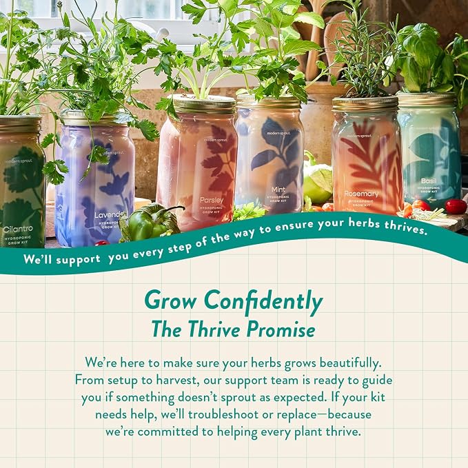Modern Sprout Mason Garden Jar+Replant Kit -Self-Watering Hydroponics Growing System Kit w/Organic Herb Seeds -Sprouting Jar Planter for Indoor Herb Garden - Seed Starter -Gift for Mother's Day -Basil