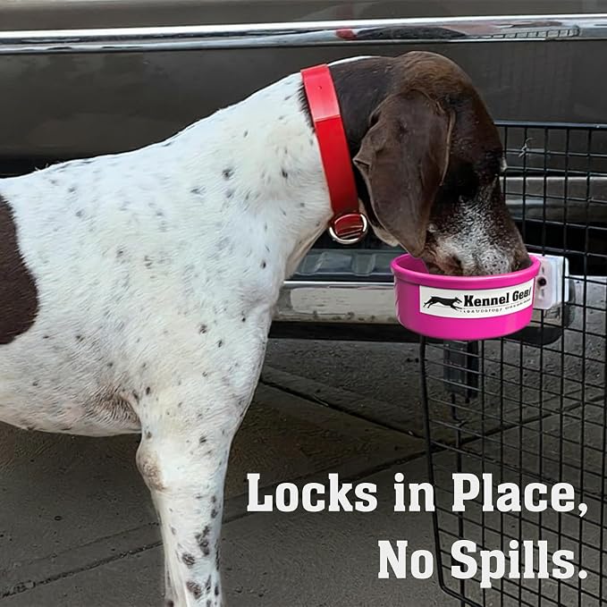Dog Crate Water Bowl No Spill, 20oz Food-Grade Polypropylene Feeder (Pink) | Secure Crate Mount with Covered Parts, Travel-Ready, Easy-To-Clean Design for Home, Crate Training and Travel