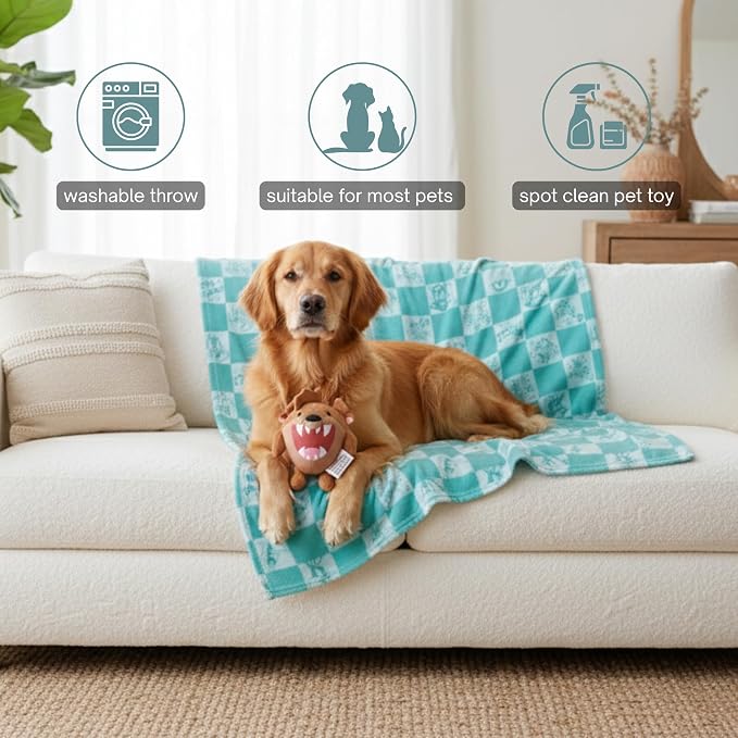 Looney Tunes Tasmanian Devil Pet Throw & Squeaky Pillow Set, Stimulating Toy As Gifts for Puppies, Cats, Dogs, (Officially Licensed) By Franco