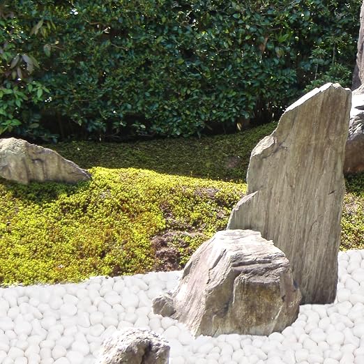 Pulovin 15 lbs White Rocks for Landscaping, Vases, Plants Indoor, 1-2 Inch | Large White Rocks for Plants, Decorative Polished Stones for Garden, Walkways, Yard, Plants Pots, Vases, Crafts