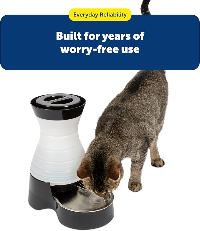 PetSafe Healthy Pet Water Station, 64 oz, Stainless Steel Bowl, Small | Gravity-Fed Pet Water Fountain Keeps Cats or Small Dogs Hydrated, Stainless Steel Bowl Is Dishwasher Safe