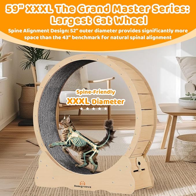 Homegroove XXXL Giant Cat Wheel, 59"/150cm Extra Large Cat Exercise Wheel for Maine Coon & Large Cats - Spinal Alignment Design, Solid Wood Cat Treadmill with Safety Lock & Anti-Pinch Gap