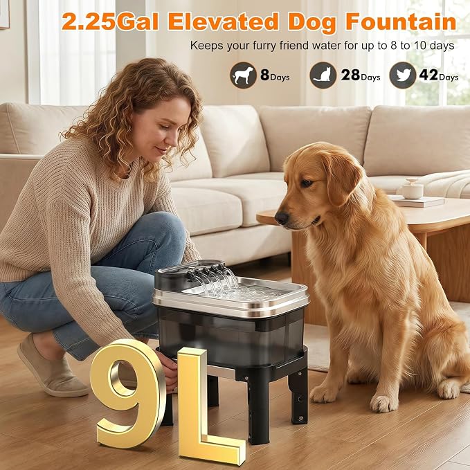 RPZ 9L Elevated Stainless Steel Dog Water Fountain with Filter | 4-level adjustable indoor pet water fountain with quiet pump and no-spill design for small, medium, and large dogs