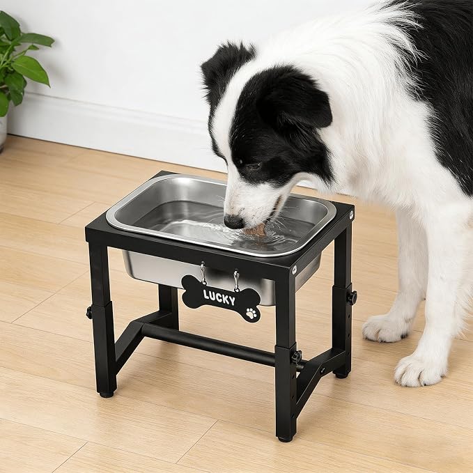 1.2 Gallon Elevated Large Dog Water Bowl, 4 Adjustable Height 7.8'',9.2'',10.6'',12''Raised Stainless Steel Bowl Stand for Small/Medium/Large Breed, Metal Dog Feeding Station for Relief Joint Pressure