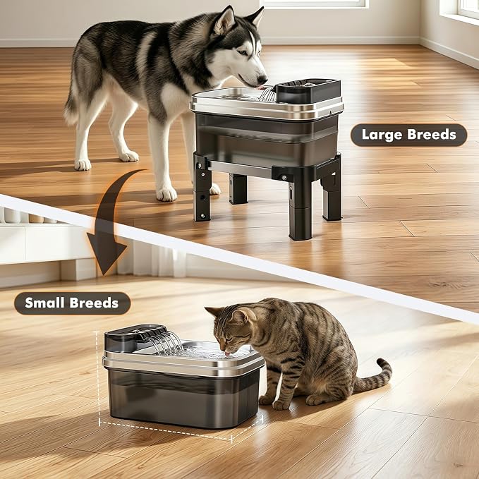RPZ 9L Elevated Stainless Steel Dog Water Fountain with Filter | 4-level adjustable indoor pet water fountain with quiet pump and no-spill design for small, medium, and large dogs
