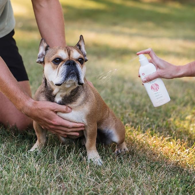 Smooth Coat Care Set by Veterinary Formula & Tweezerman – Gloss & Glide Detangling Spray with Small Slicker Brush for Dogs, Cats, Puppies & Kittens – Tangle-Free Grooming Duo for Everyday Shine