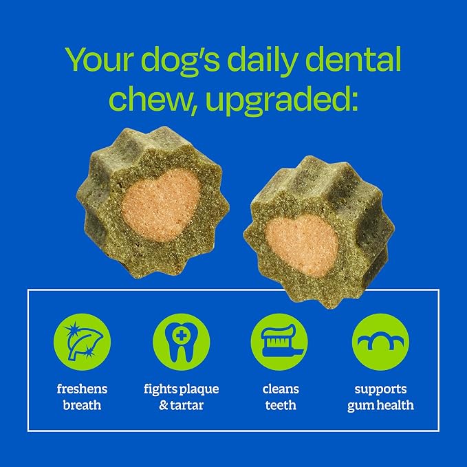 Ark Naturals Soft Brushless Toothpaste - Large Breeds (55 ct) | Vet Formulated Soft-Baked Dog Dental Chew with Toothpaste Center – Freshens Breath, Reduces Plaque & Tartar