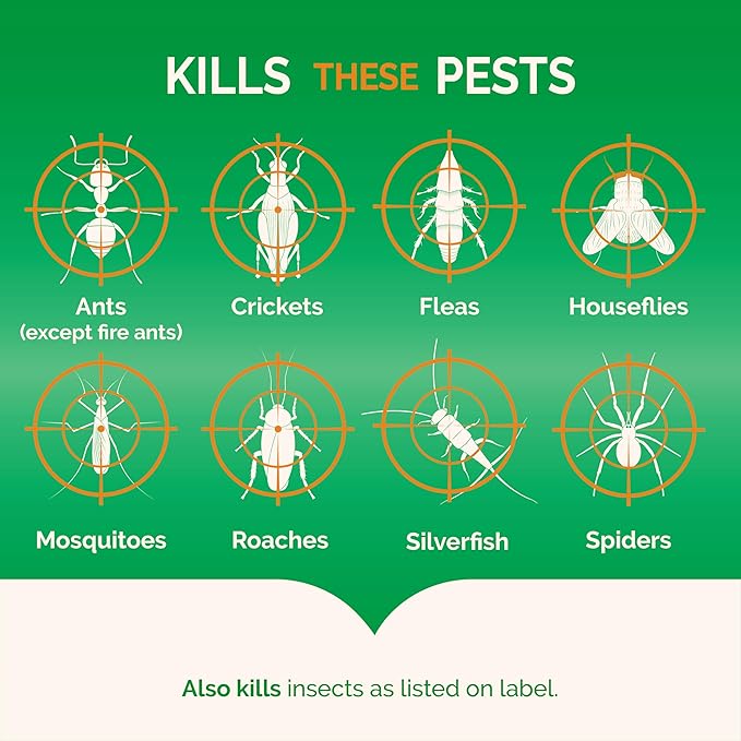 Hot Shot Pest Control Fogger, Kills Roaches, Ants, Spiders & Other Insects On Contact, Controls Heavy Infestations Indoors, 6 Pack