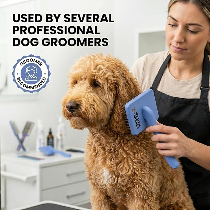 Slicker Brush for Dogs, Dog Grooming Supplies - Best Doodle & Poodle Brush for Haired Dogs - Goldendoodle Pin Detangler for Dematting (Large)