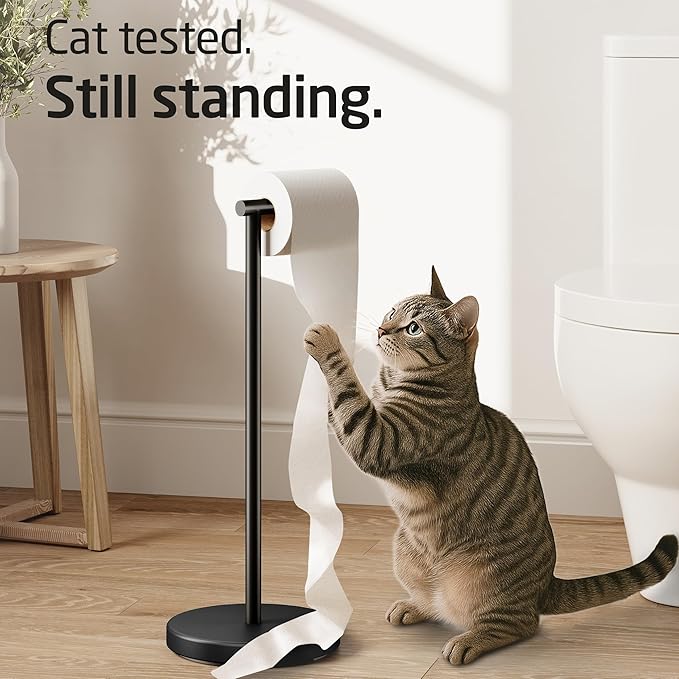 KES Bathroom Toilet Paper Holder Stand Modern Tissue Roll Holder SUS304 Stainless Steel Rustproof Freestanding 20.2" H, Matte Black BPH283S1-BK