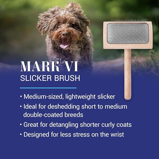 Chris Christensen Mark VI Curved Back Slicker Brush for Dogs, 12mm Pins, Groom Like a Pro, Handcrafted Lightweight Beechwood Ergonomic Handle, Stainless Steel Pins, A5VI, Medium. Made in Germany.