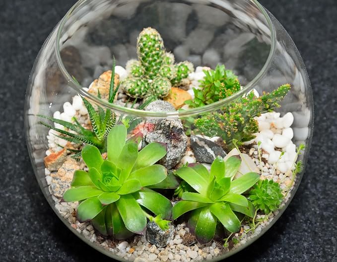 16 Pcs Glass Fish Bowl Round Vase for Centerpiece Bulk Clear Bubble Fish Bowl Decorations Flower with Water Gel Beads for Wedding Floral Floating Filler Home Decorations
