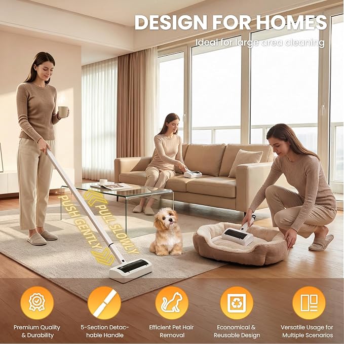 Carpet Rake Electric Rechargeable for Pet Hair Removal 10X Efficient and Quiet Cat Dog Hair Remover for Carpet, Rugs, Mats
