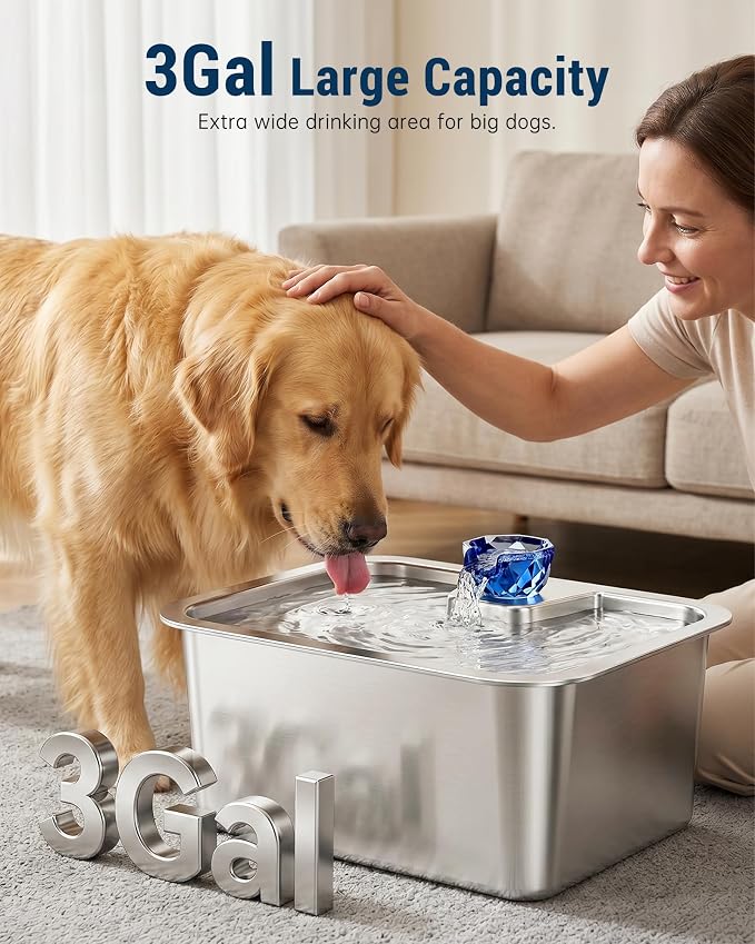 3 Gallon Stainless Steel Dog Water Fountain for Large Dogs