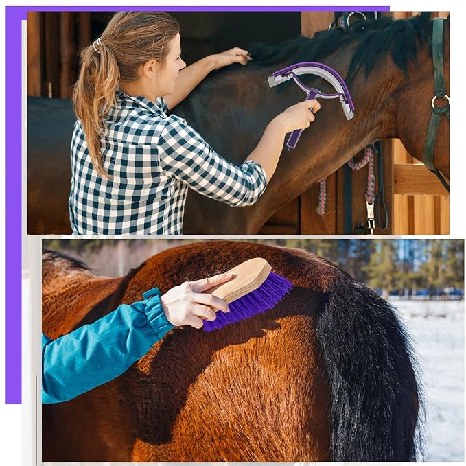 Abbylike 12 Piece Horse Grooming Kit with Organizer Tote Bag Brush Sets for Derby Day Show Horses Professional Tools for Care & Massage(Grey and Purple)