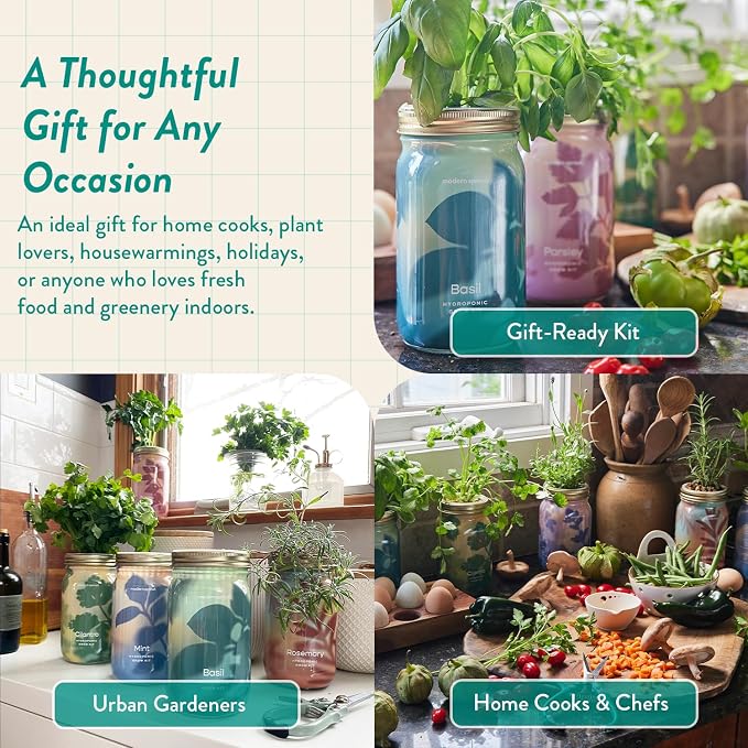 Modern Sprout Mason Garden Jar+Replant Kit -Self-Watering Hydroponics Growing System Kit w/Organic Herb Seeds -Sprouting Jar Planter for Indoor Herb Garden - Seed Starter -Gift for Mother's Day -Basil