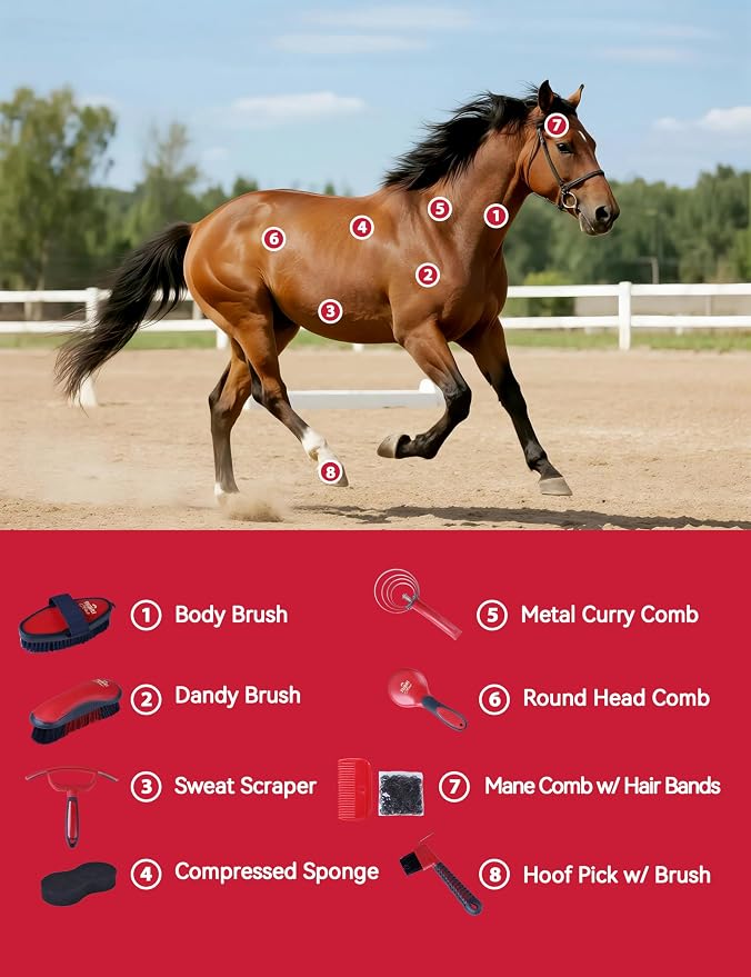 Horse Grooming Kit, 9 Piece Grooming Brush Set with Silicone Curry Comb for Bathing & Shedding Shadowberry
