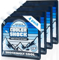 Cooler Shock Reusable Ice Packs for Cooler - Long Lasting Cold Freezer Packs for Coolers and Lunch Boxes - Cooler Ice Packs for Camping Gear, Fishing, Road Trips, Beach Must Haves