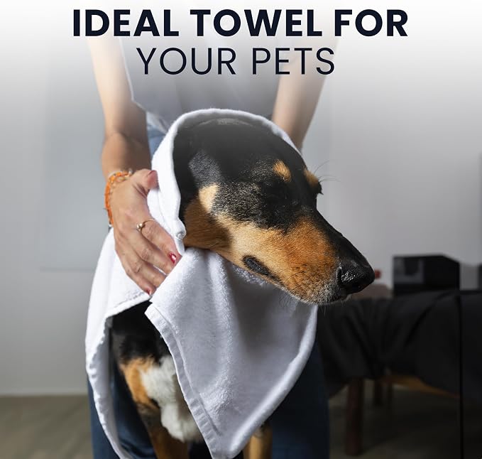 belem Bulk White Towels 20x40 – 72-Pack Commercial Bath Towels (6 Dozen) – Lightweight, Durable, Fast-Drying & Economical – Ideal for Hotels, Salons, Gyms & Spas – 5.5 lb/Dozen (010606)