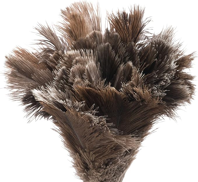 Redecker Ostrich Feather Duster with Varnished Wooden Handle, Small, 13-3/4-Inches