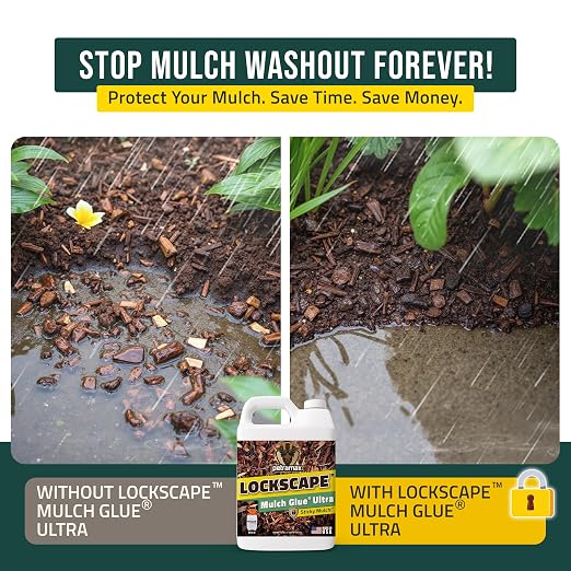 Lockscape Mulch Glue for Landscaping Ultra Concentrated (64 Ounce) - Lasts Up to 2 Years, Non-Toxic, Concentrated Landscape Binder - Strong Mulch and Pine Straw Glue for Landscaping, Pine Straw & More