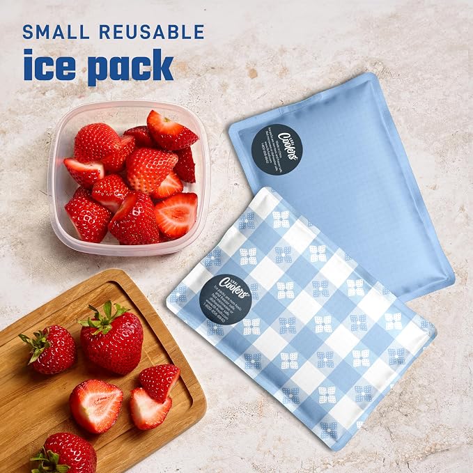 Fit & Fresh Cool Coolers Soft Ice for Lunch Bags 2pk, Flexible Stretch Nylon, Durable, Reusable Lunch Box Ice Packs, Soft Ice, Reusable Freezer Packs, Lunch Ice, Cornflower Blue Picnic