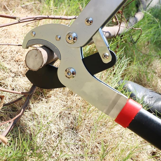 GARTOL Heavy-Duty Anvil Lopper, 29" Tree Pruning Shears, with a Spare SK5 Steel Blade, Compound Action for Effortless Cutting 2″ Branch, Ergonomic Non-Slip Handles, Durable Garden Branch Cutter