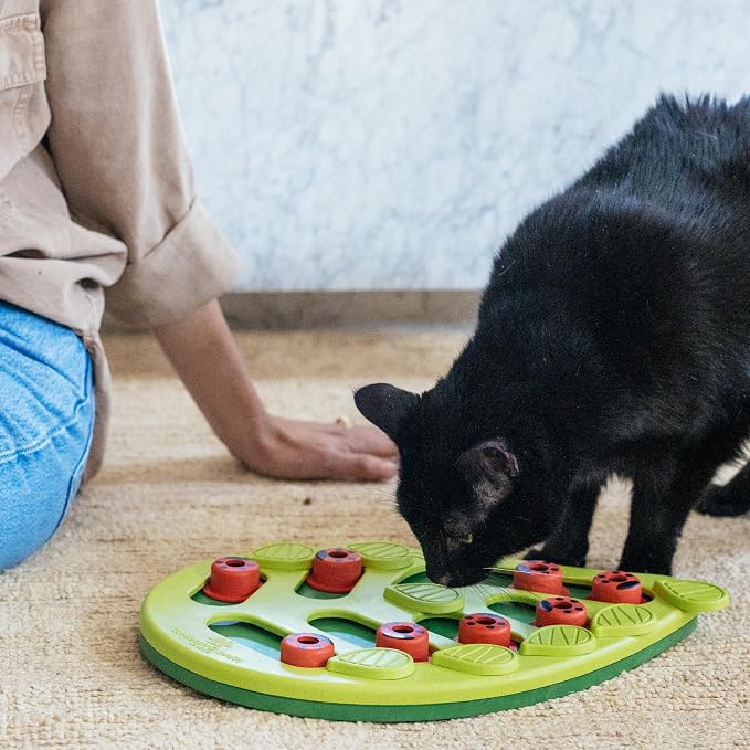 Catstages Nina Ottosson Buggin’ Out Puzzle & Play Cat Puzzle Feeder – Interactive Treat Game for Indoor Cats, Level 2 Slow Feeder Enrichment Toy, 13.9" x 11.5"