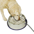 K&H Pet Products Thermal-Bowl Heated Water Bowl for Cats & Dogs Outside, Safety Listed Outdoor Heated Dog Dish for Pets, Automatic No Freeze, Anti Chew Cord - 102 Ounces Stainless 25W | Outdoor Water Stays Unfrozen In Winter. Outdoor Heated Dog Dish fo...