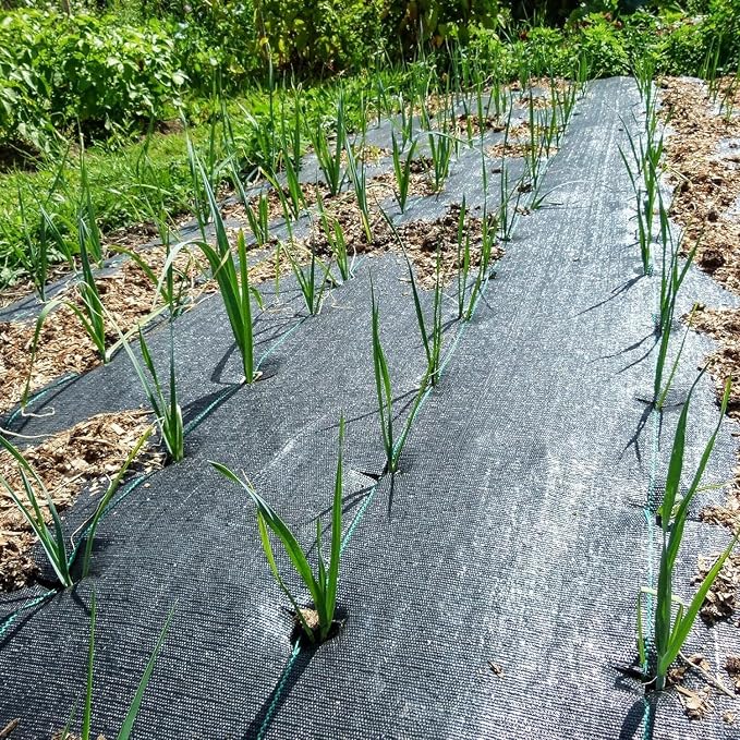 Weed Barrier Landscape Fabric Heavy Duty 3.2oz 3ftx100ft Garden Mat | Garden Weed Mat,Flower Bed,Farming,Construciton Project,Woven Geotextile Driveway Fabric